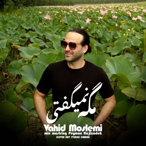 وحید مسلمی طعنه دار